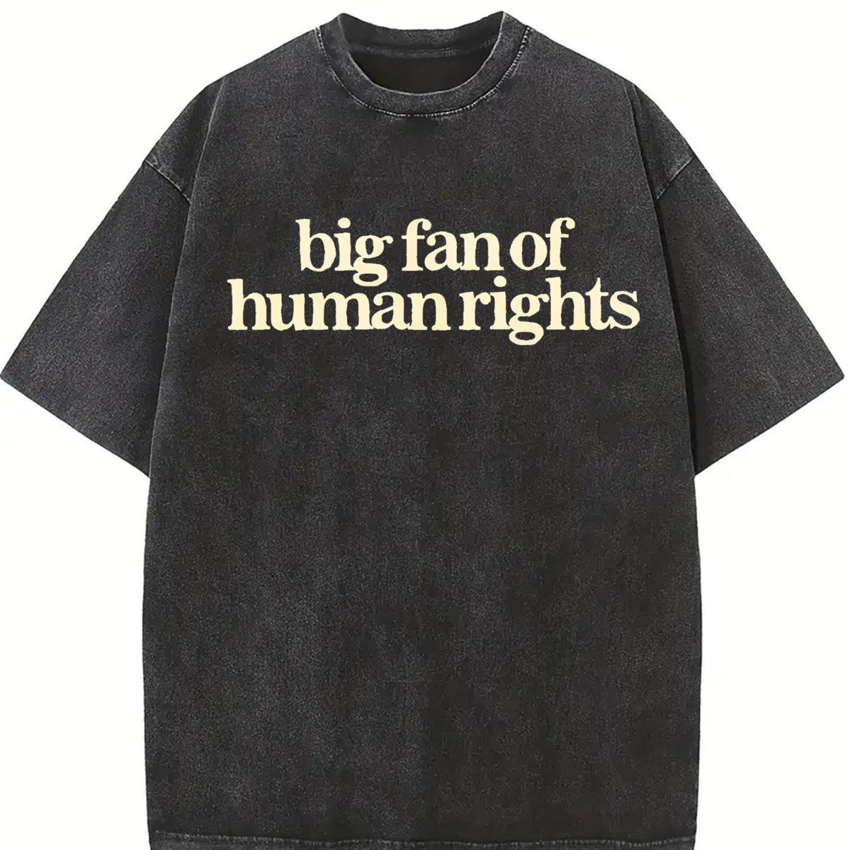 Big Fan of Human Rights Minimalist Vintage Washed T-Shirt in Black
