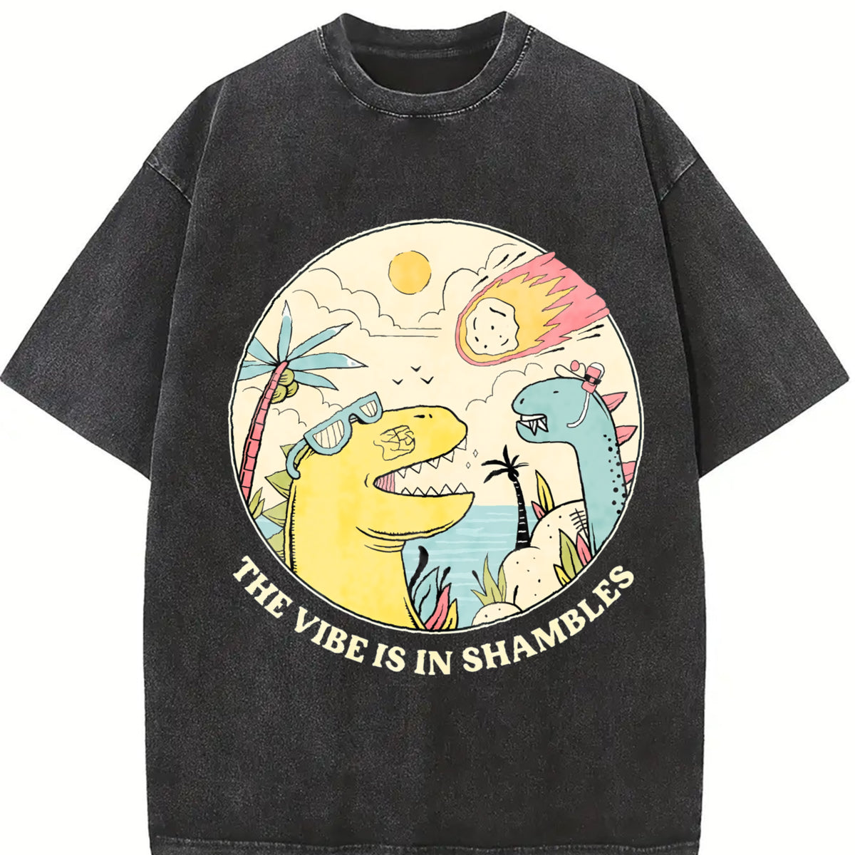 The Vibe Is in Shambless Vintage Washed T-Shirt in Black