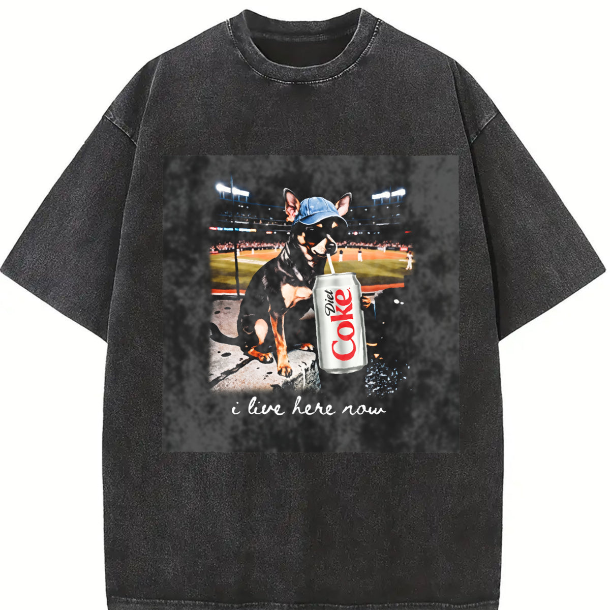 Cat at a Baseball Game I Live Here Now Vintage Washed T-Shirt in Black