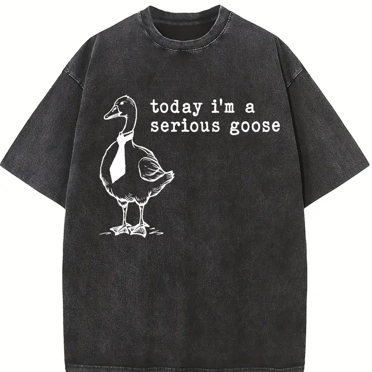 Serious Goose Vintage Washed T-Shirt in Black