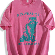 It Is What It Is and It Is Not Great Vintage Washed T-Shirt in Red