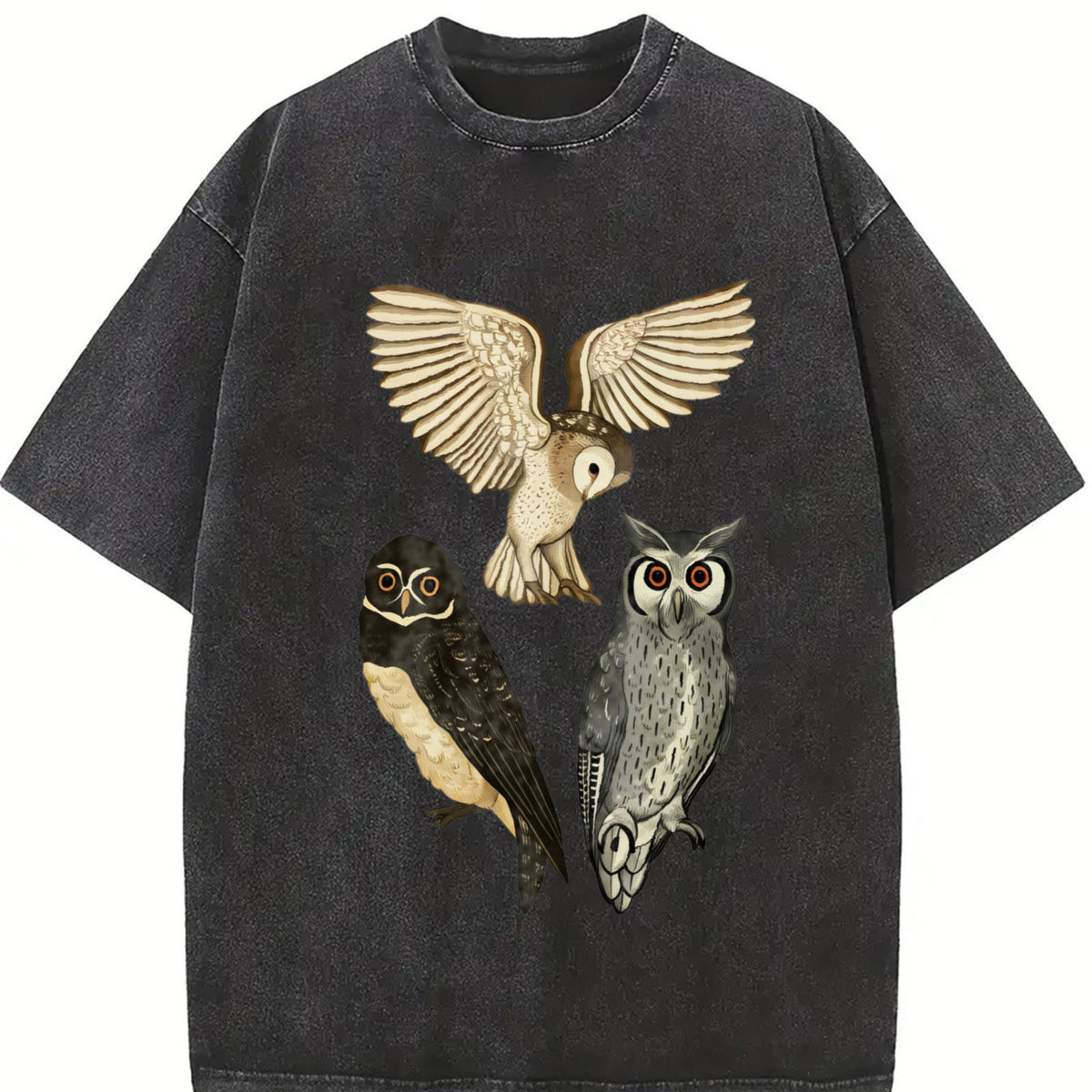 With a of Three Owls Flying Vintage Washed T-Shirt in Black