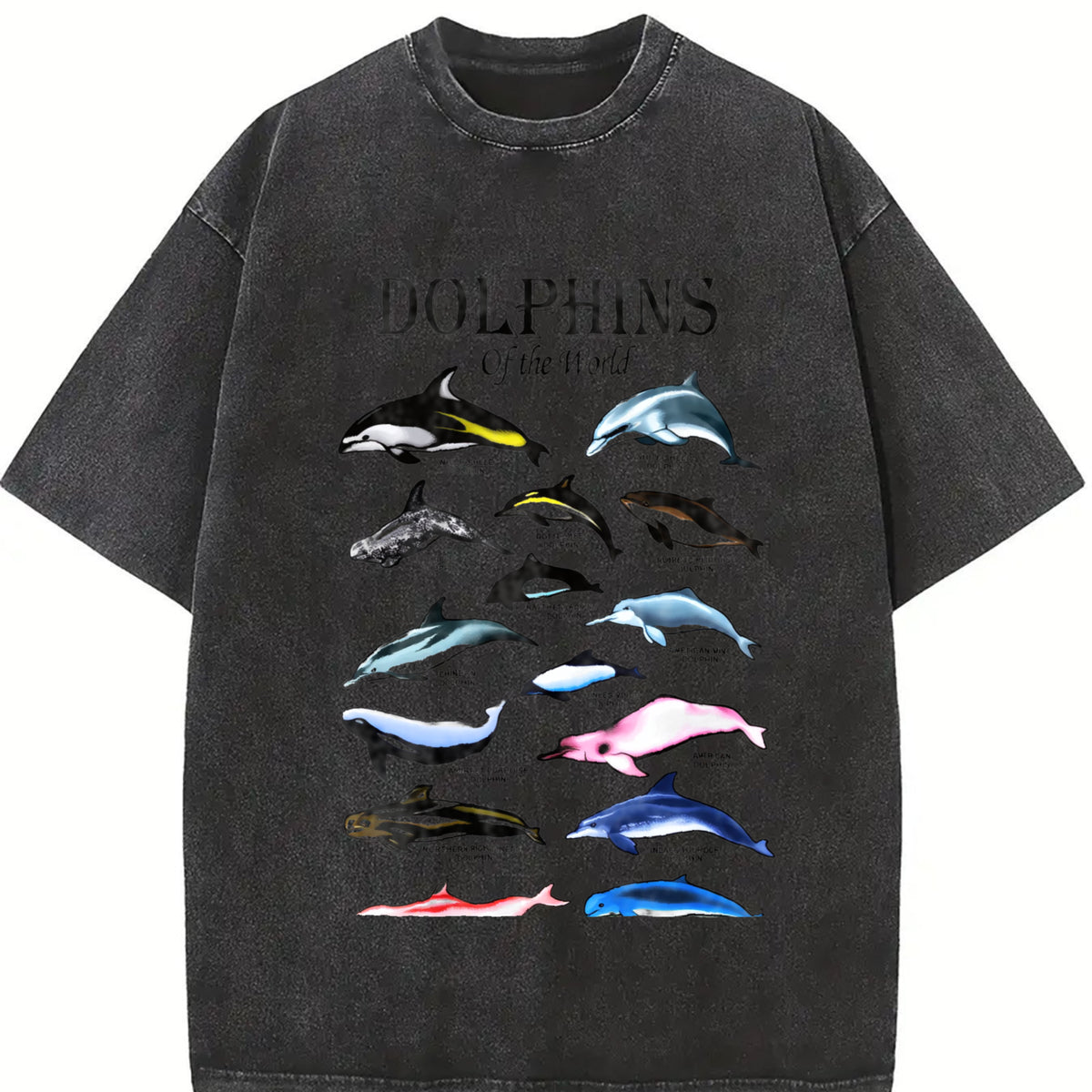 Dolphins of the World Vintage Washed T-Shirt in Black