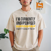 Saying Sarcastic Dad Vintage Washed T-Shirt in Beige