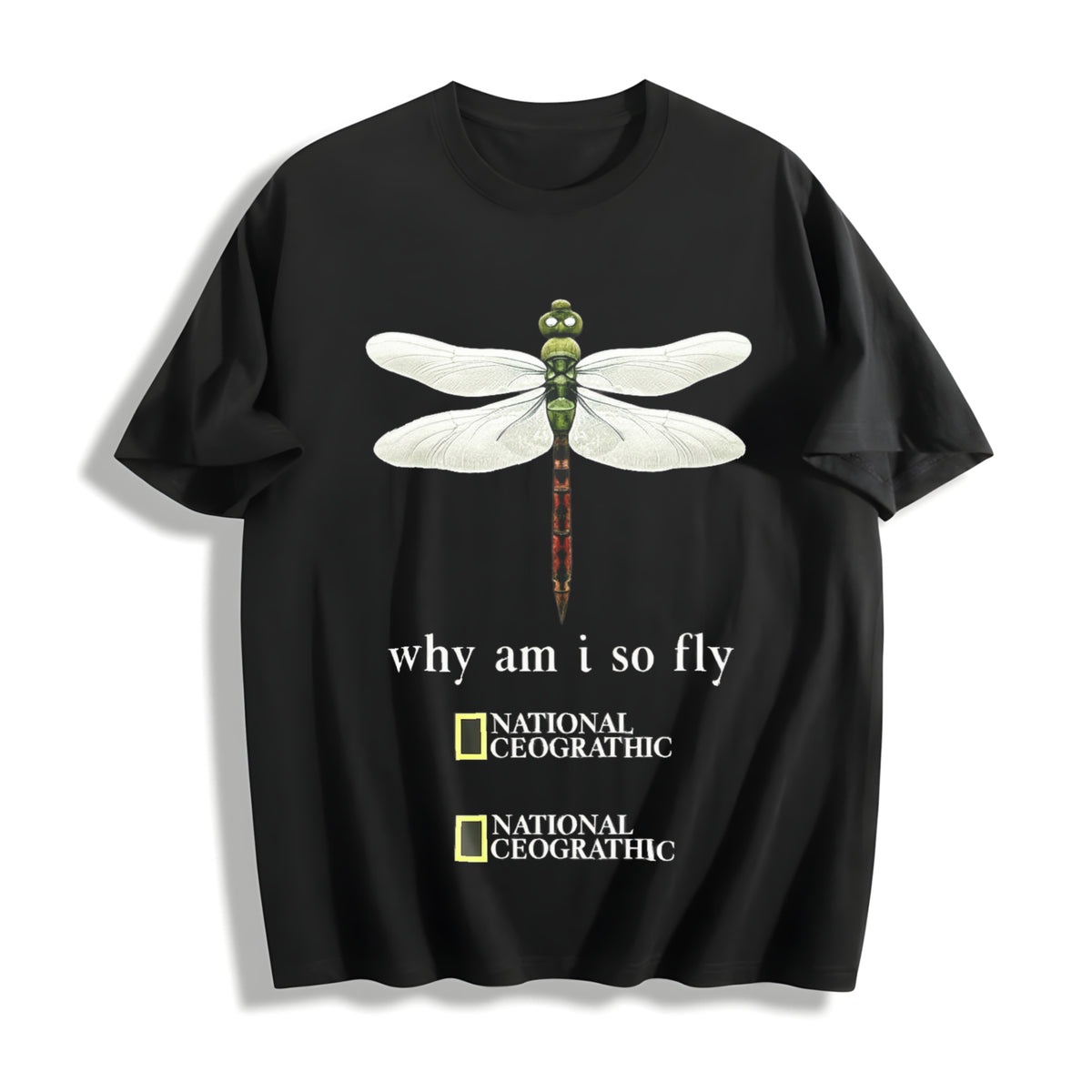 Dragonfly Why Am I So Fly Cotton T-Shirt in Black