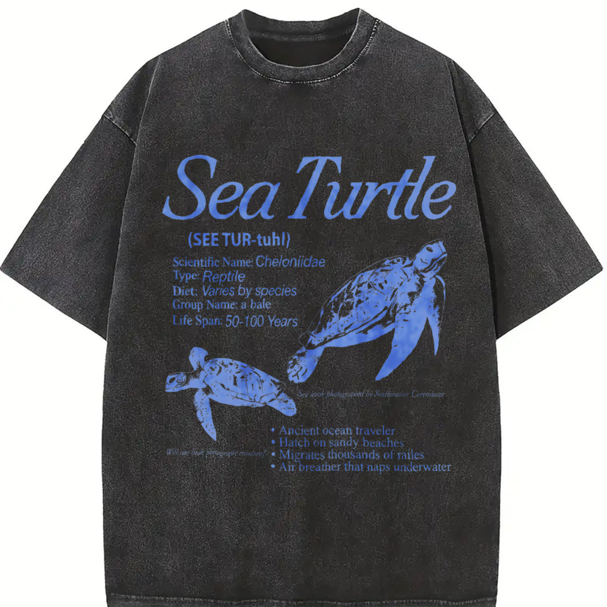 Sea Turtle 90s Retro Ocean Animal Vintage Washed T-Shirt in Black