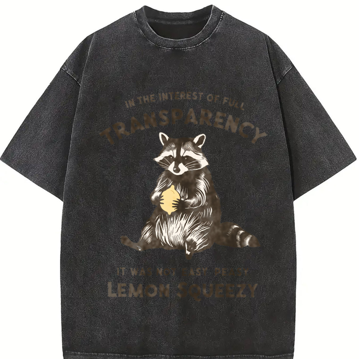 In the Interest of Full Transparency It Was Not Easy Peasy Vintage Washed T-Shirt in Black