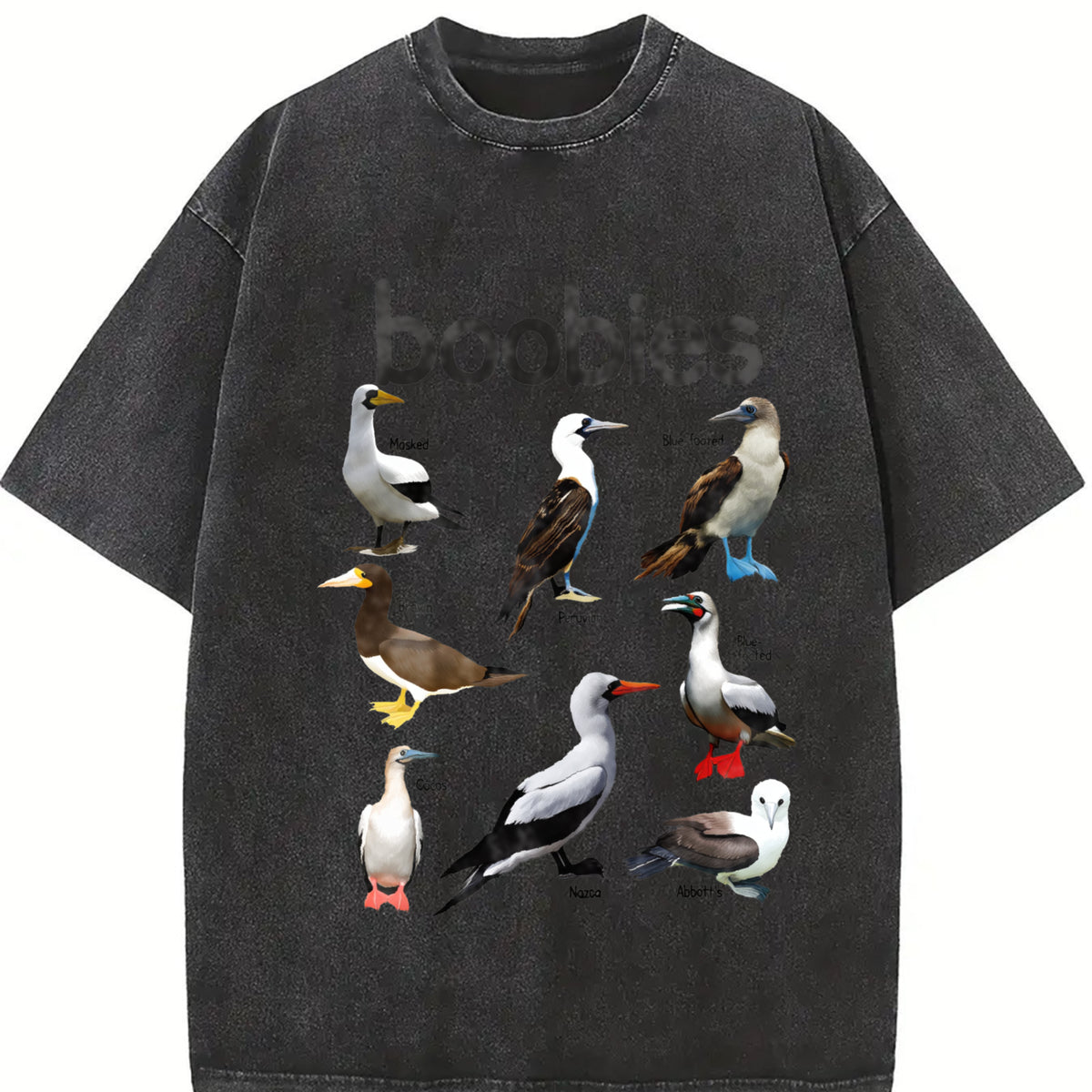 Boobies 90s Bird Retro Y2K Birdwatching Vintage Washed T-Shirt in Black