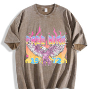 Free Bird 1972 America Vintage Washed T-Shirt in Brown