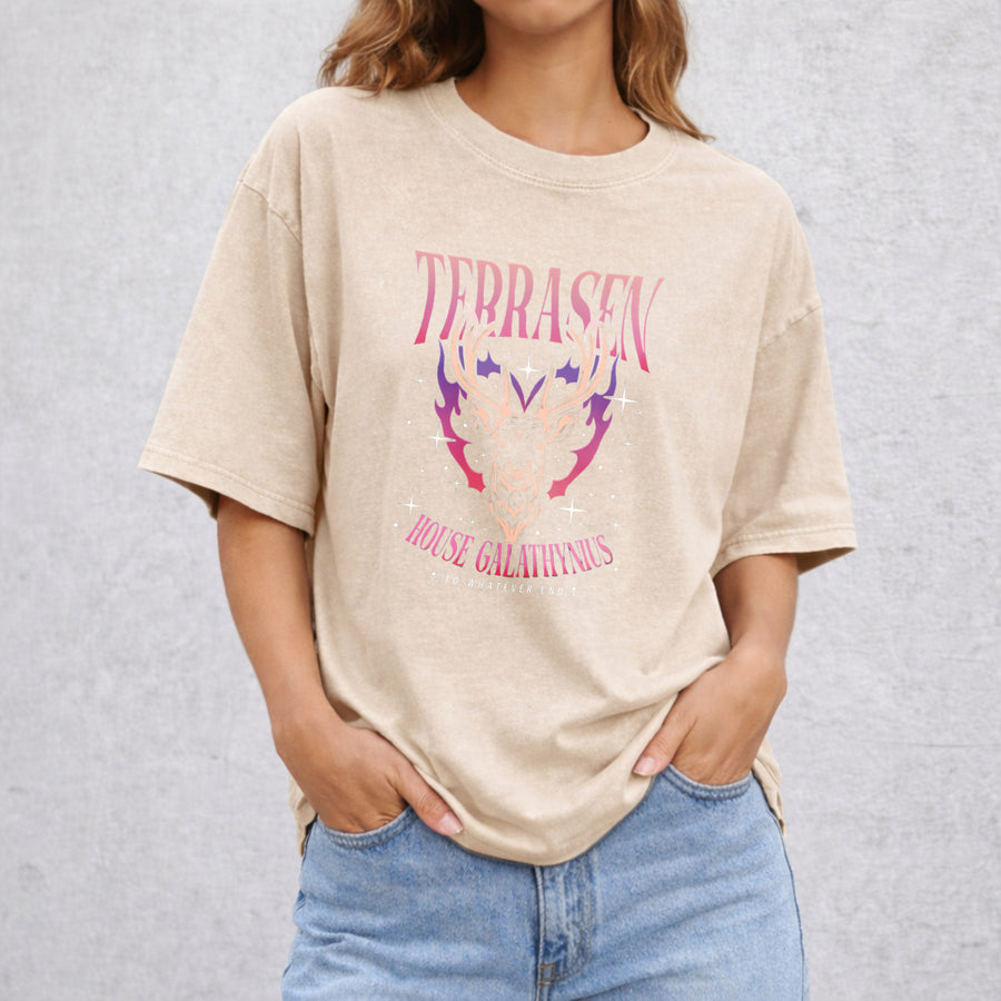 Terrasen Acotar vintage washed oversized T-shirt in Beige