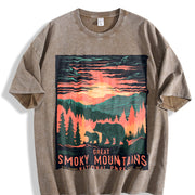 A Short-sleeved for a Bear Vintage Washed T-Shirt in Brown