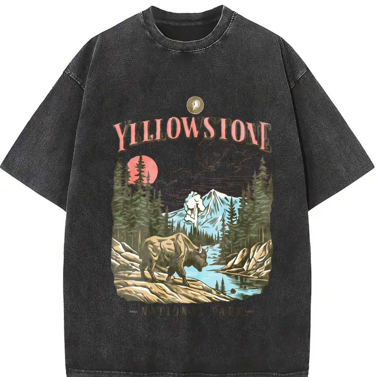 Yellowstone National Park Vintage Washed T-Shirt in Black