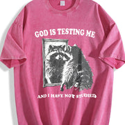 God Is Testing Me Possum Vintage Washed T-Shirt in Red