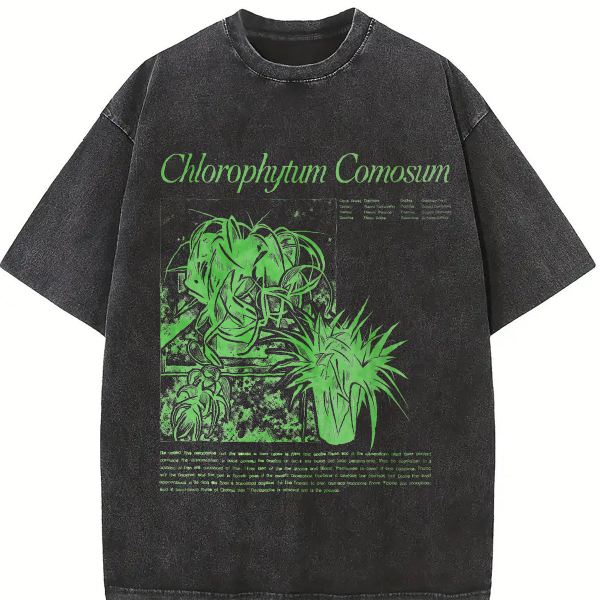 Spider Plant Chlorophytum Comosum Vintage Washed T-Shirt in Black