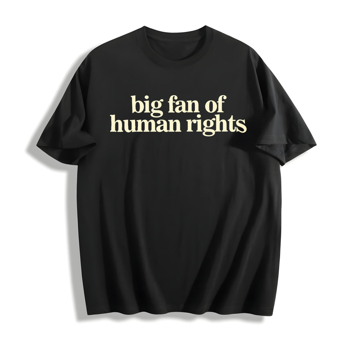Big Fan of Human Rights Minimalist No Human Is Illegal Cotton T-Shirt in Black