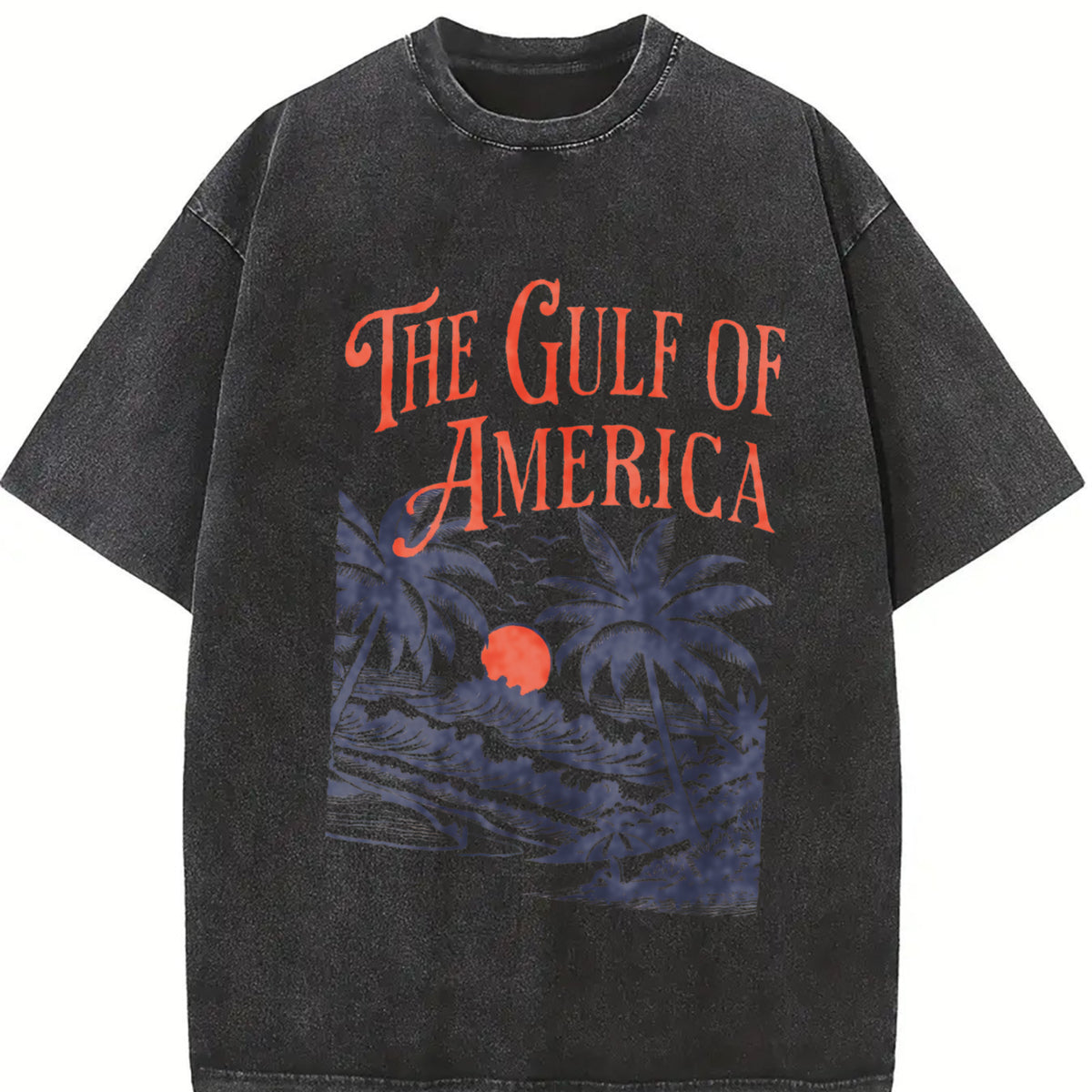 The Gulf of America Coastal Scene vintage washed oversized T-shirt in Black