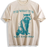 It Is What It Is and It Is Not Great Vintage Washed T-Shirt in Beige