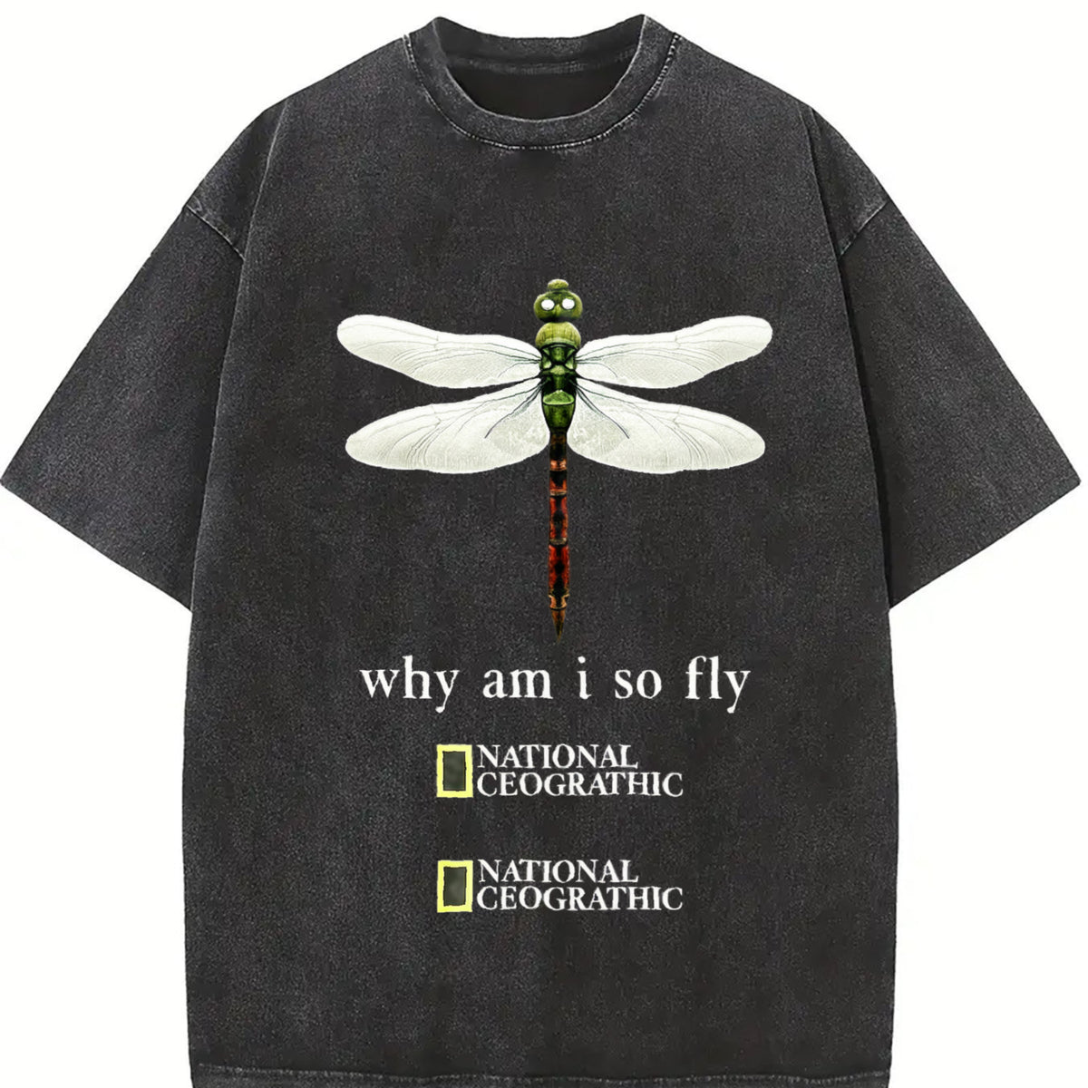 Dragonfly Why Am I So Fly Vintage Washed T-Shirt in Black