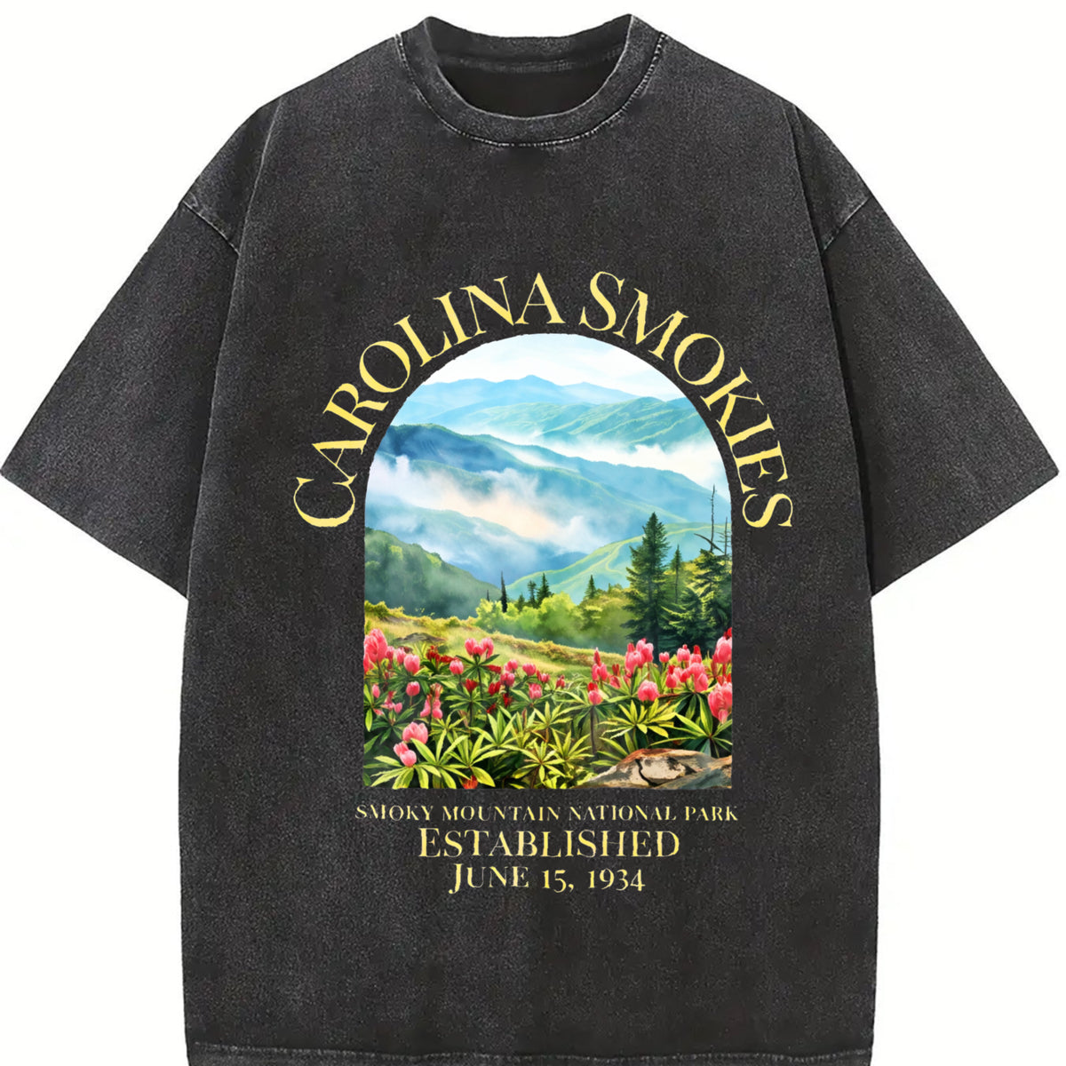 North Carolina Smoky Mountain National Park Vintage Washed T-Shirt in Black