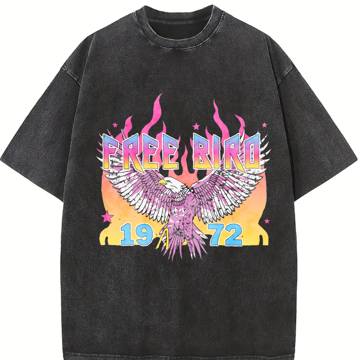 Free Bird 1972 America Vintage Washed T-Shirt in Black