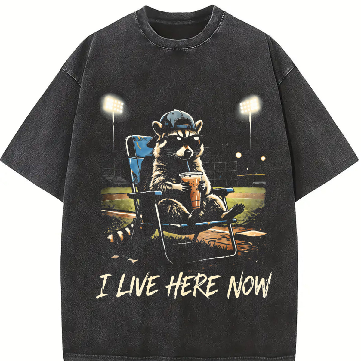 Baseball Goose I Live Here Now Vintage Washed T-Shirt in Black