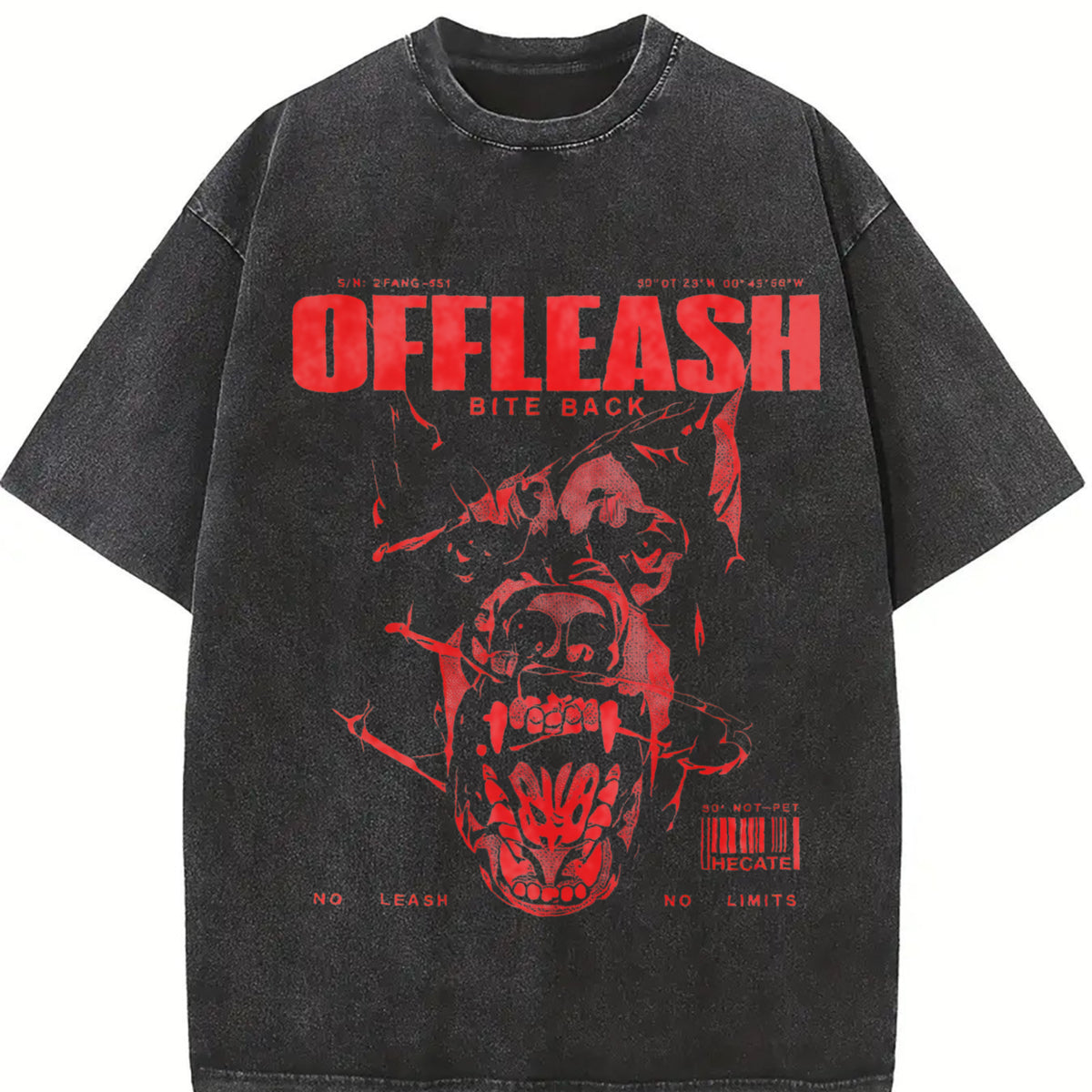 & Doberman Dog Y2K Back Vintage Washed T-Shirt in Black