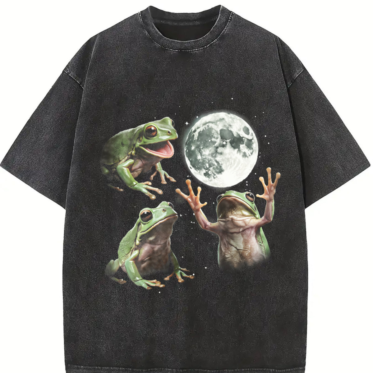 Frog Howling at Moon 90s Vintage Washed T-Shirt in Black