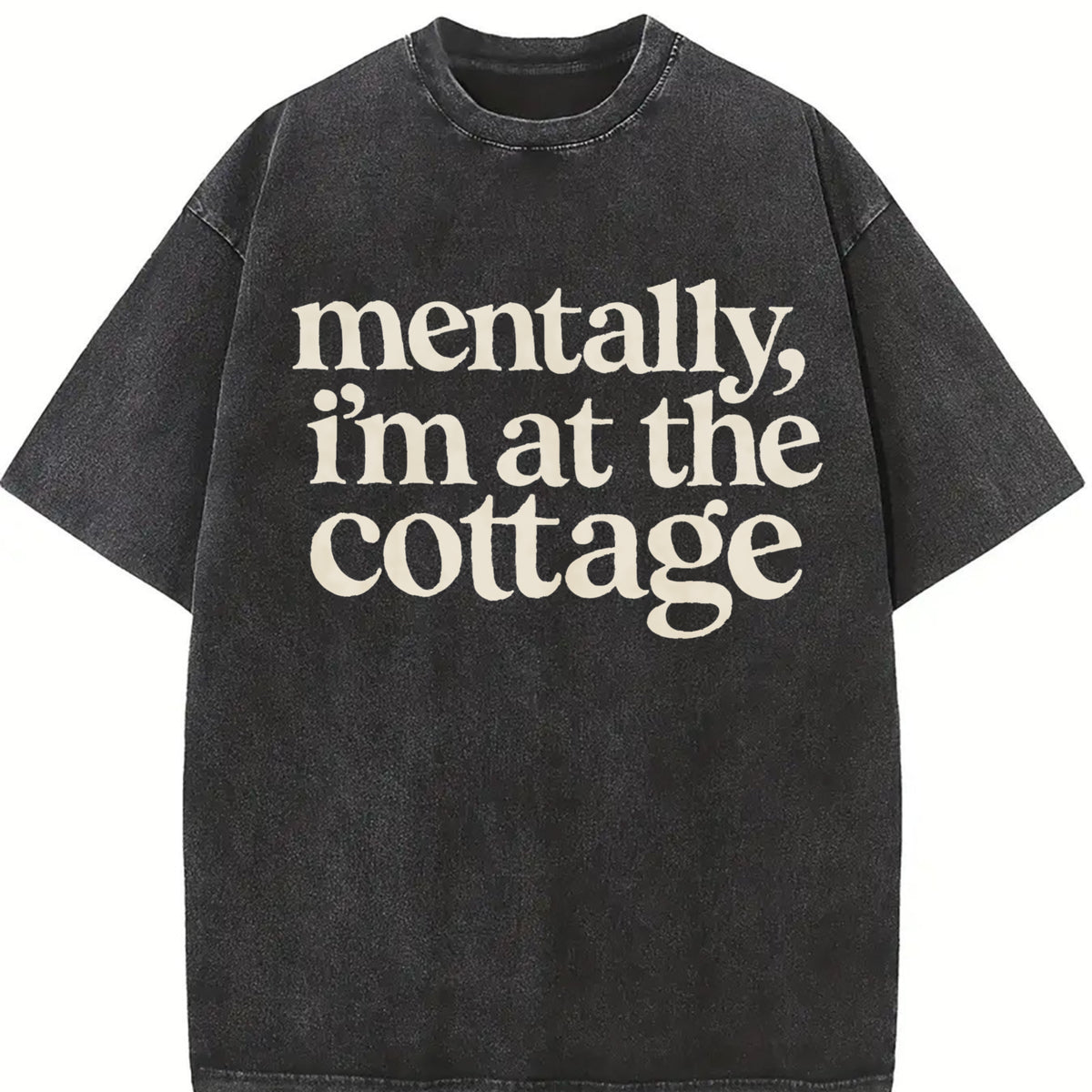 Mentally I'm At the Cottage Heated Rivalry Reader vintage washed oversized T-shirt in Black