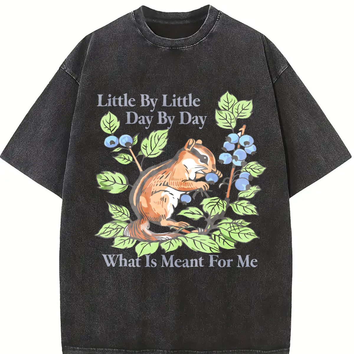 Pure with Squirrel and Berry Vintage Washed T-Shirt in Black