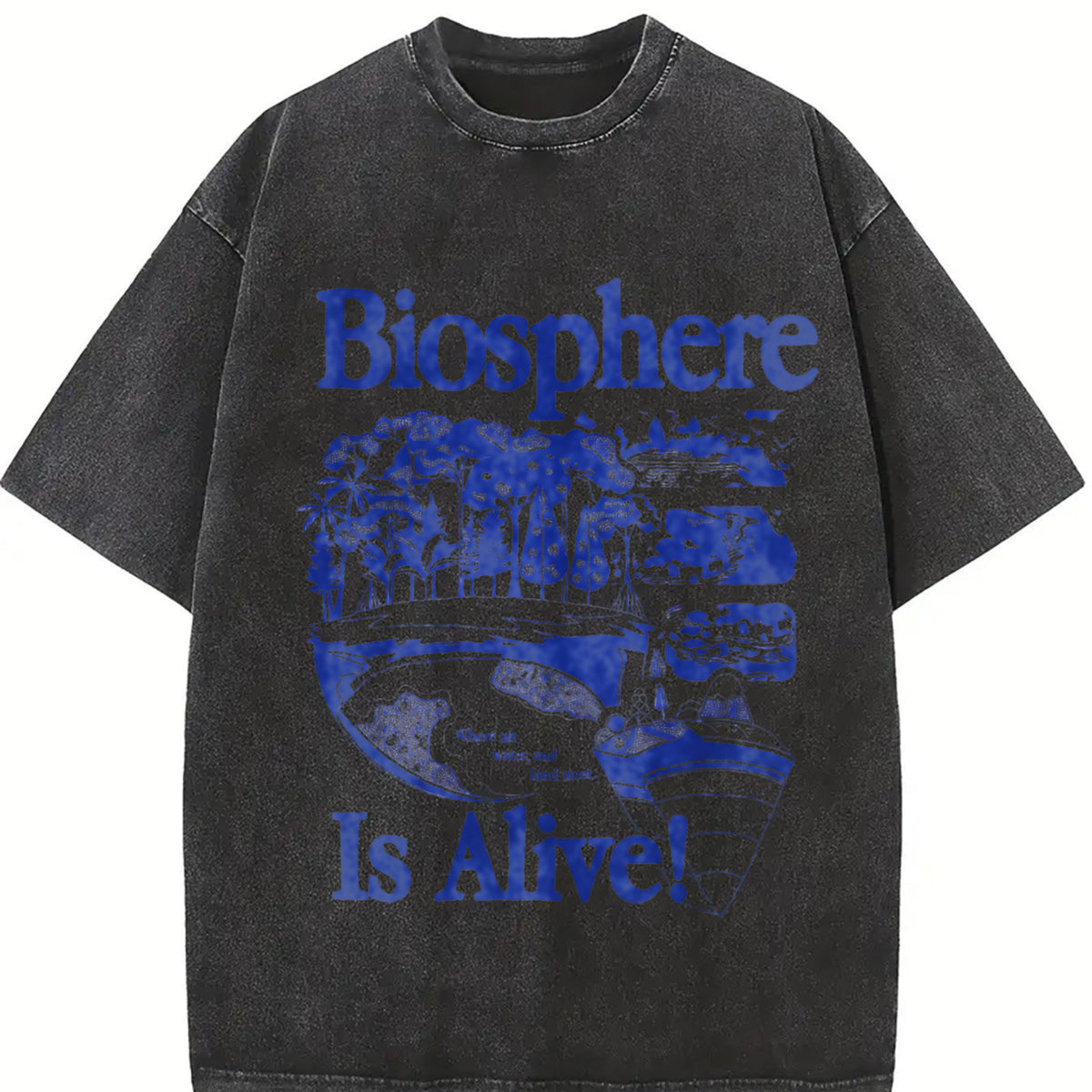 Biosphere Science Retro Biology Nature Vintage Washed T-Shirt in Black