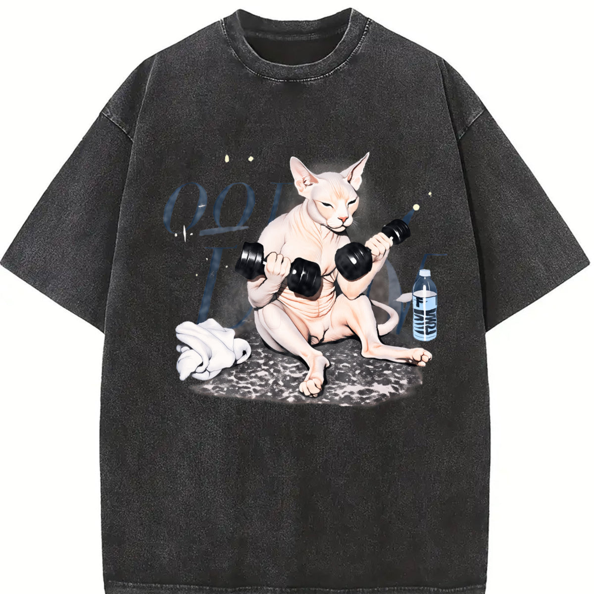 Sphynx Cat Workout Vintage Washed T-Shirt in Black