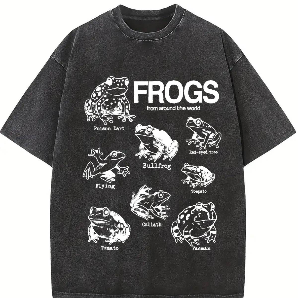 Frogs Around the World Vintage Washed T-Shirt in Black