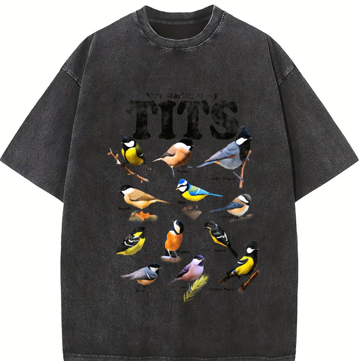 Tit Birds 90s Retro Y2K Birdwatching Vintage Washed T-Shirt in Black