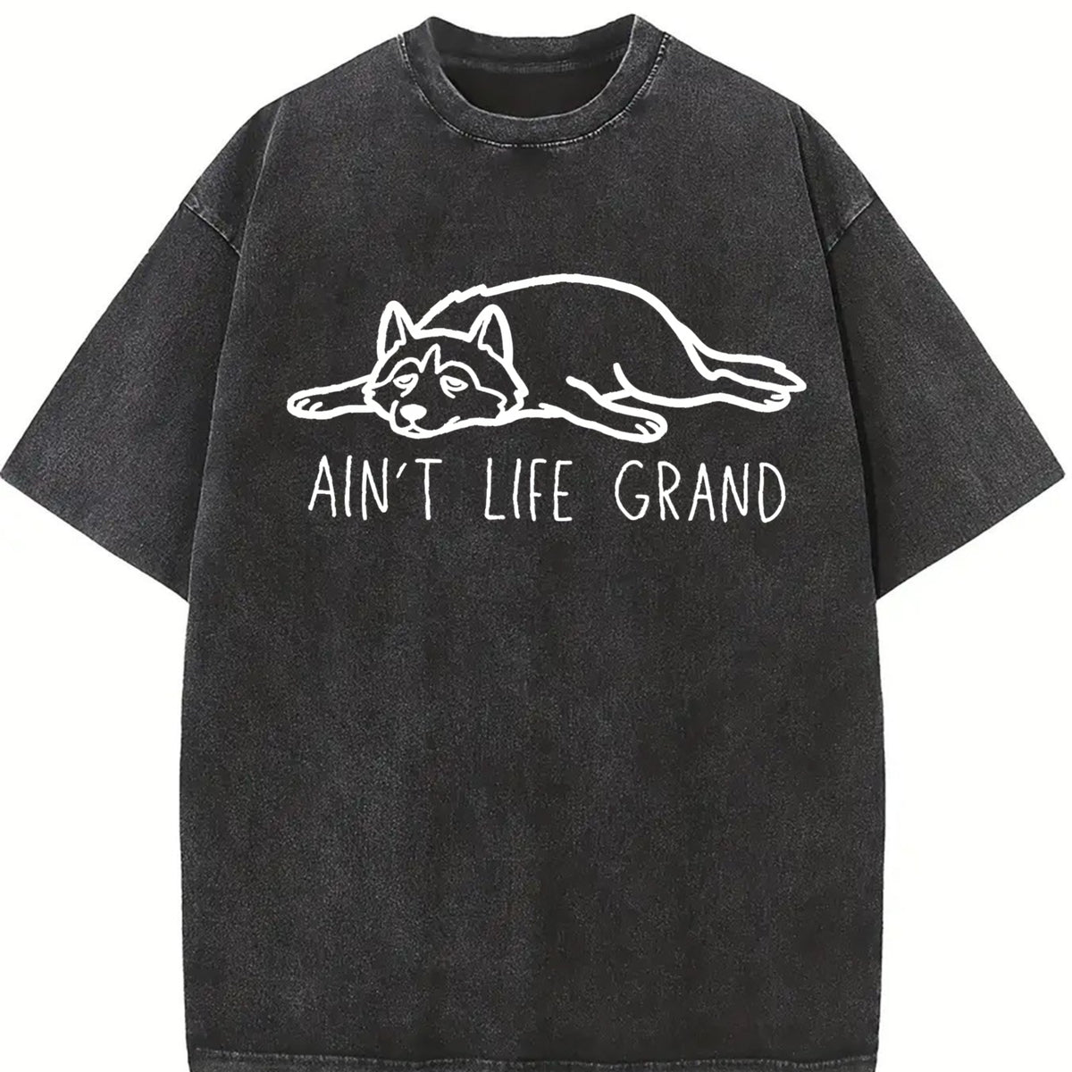 Ain't Life Grand Dog Lover Vintage Washed T-Shirt in Black