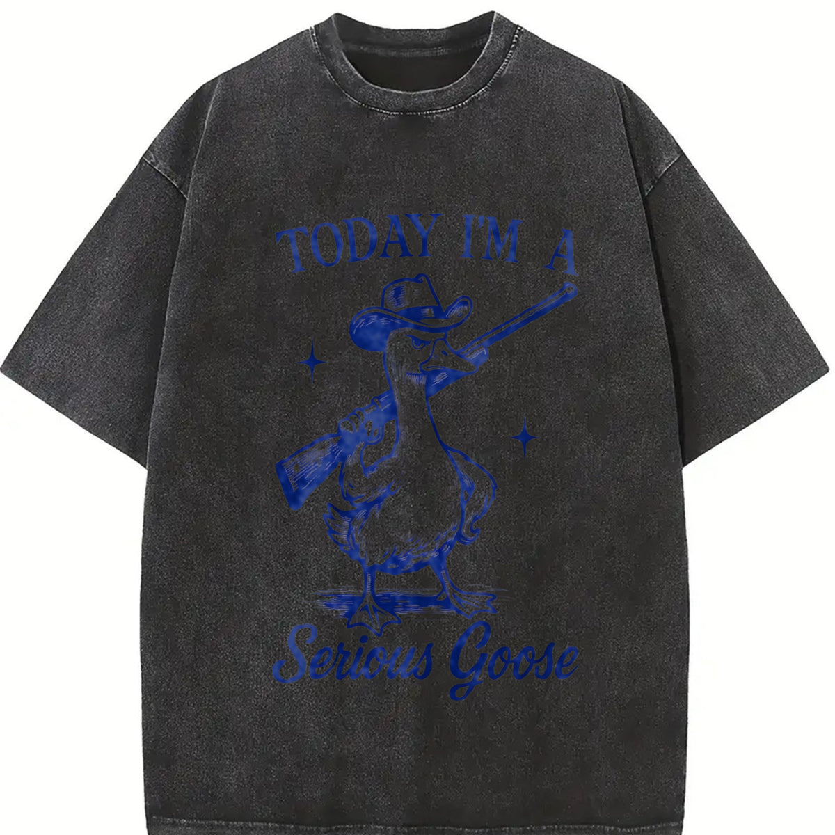 Retro Goose Today I'm a Serious Goose Vintage Washed T-Shirt in Black