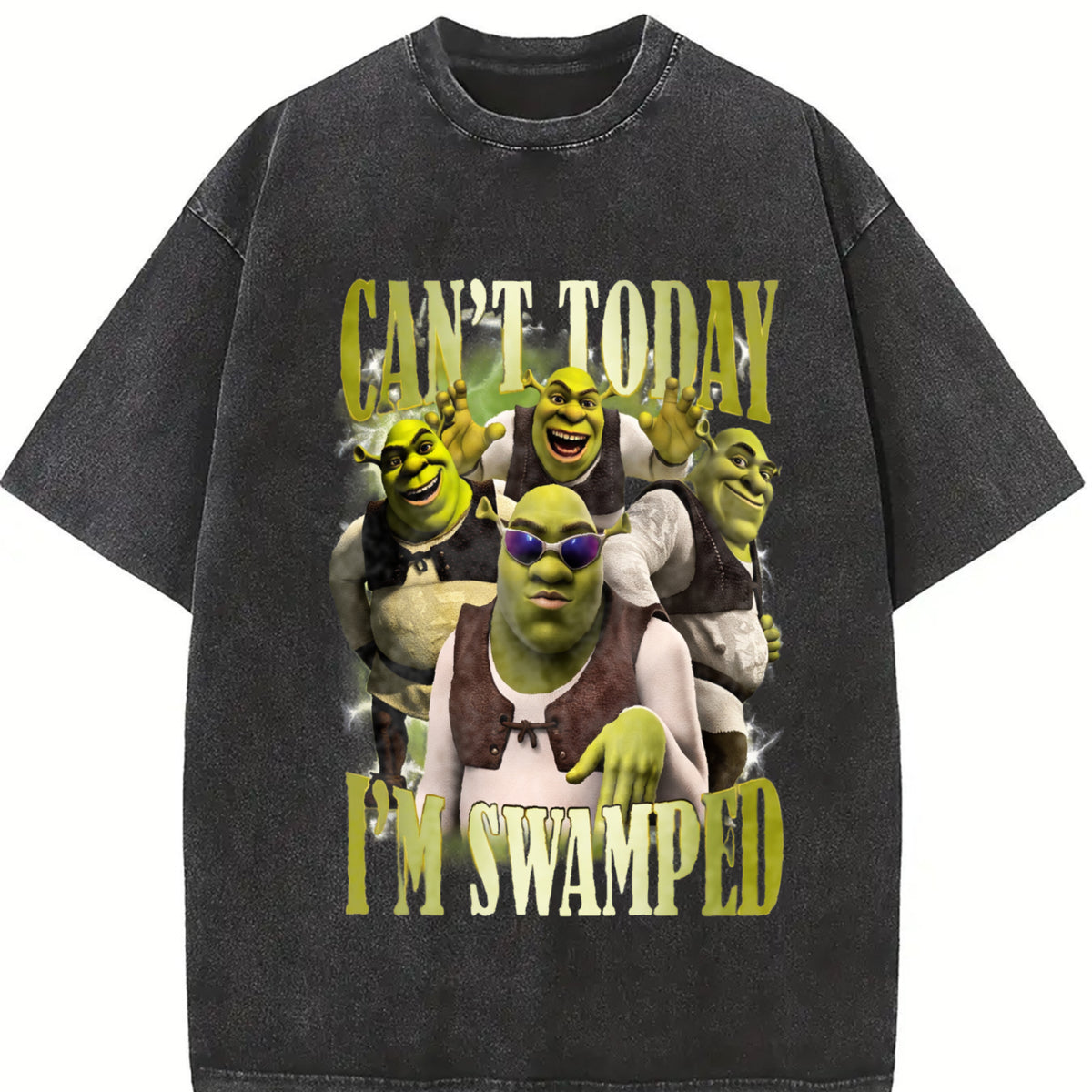 Shrek Carton Characters Vintage Washed T-Shirt in Black