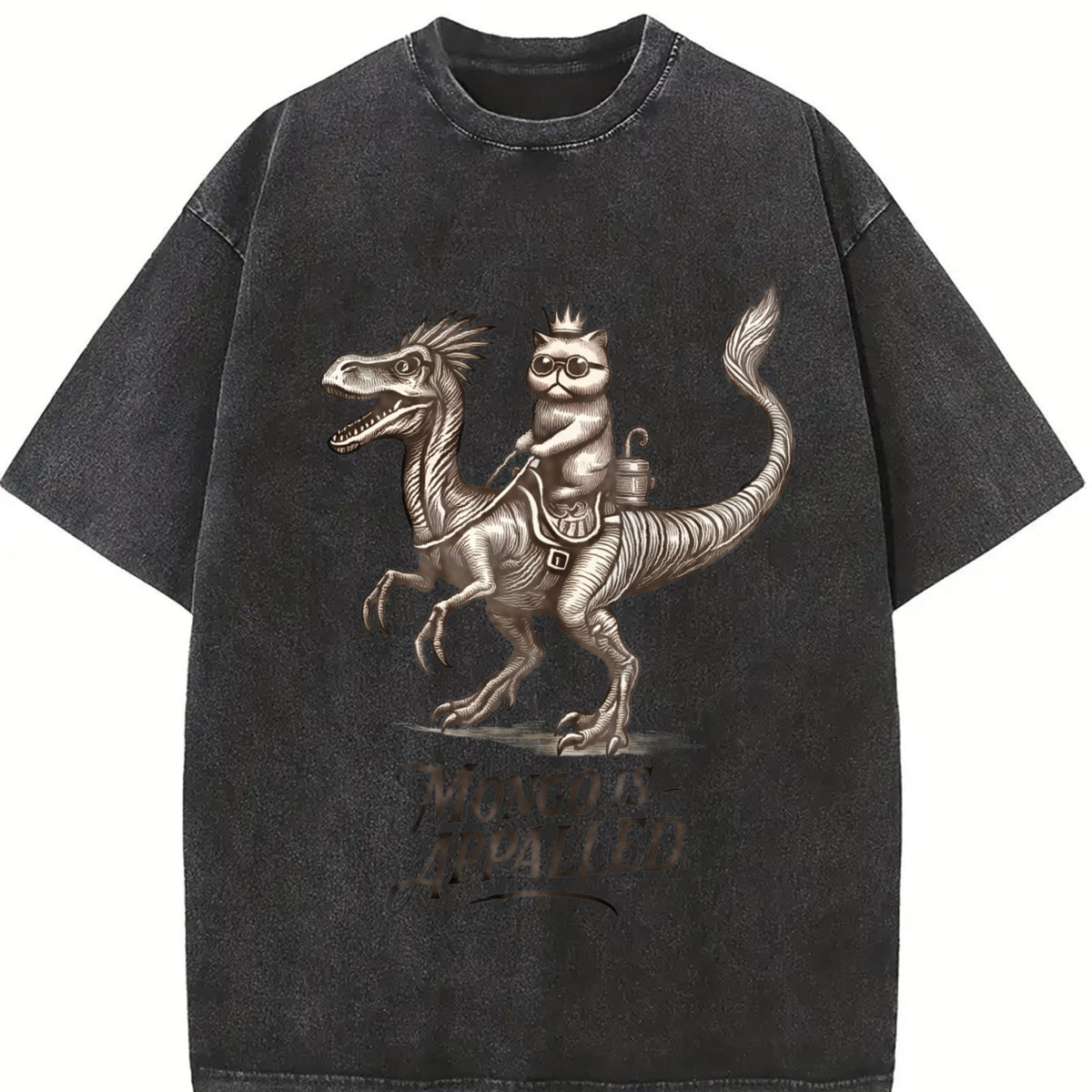 Princess Donut and Mongo Vintage Washed T-Shirt in Black