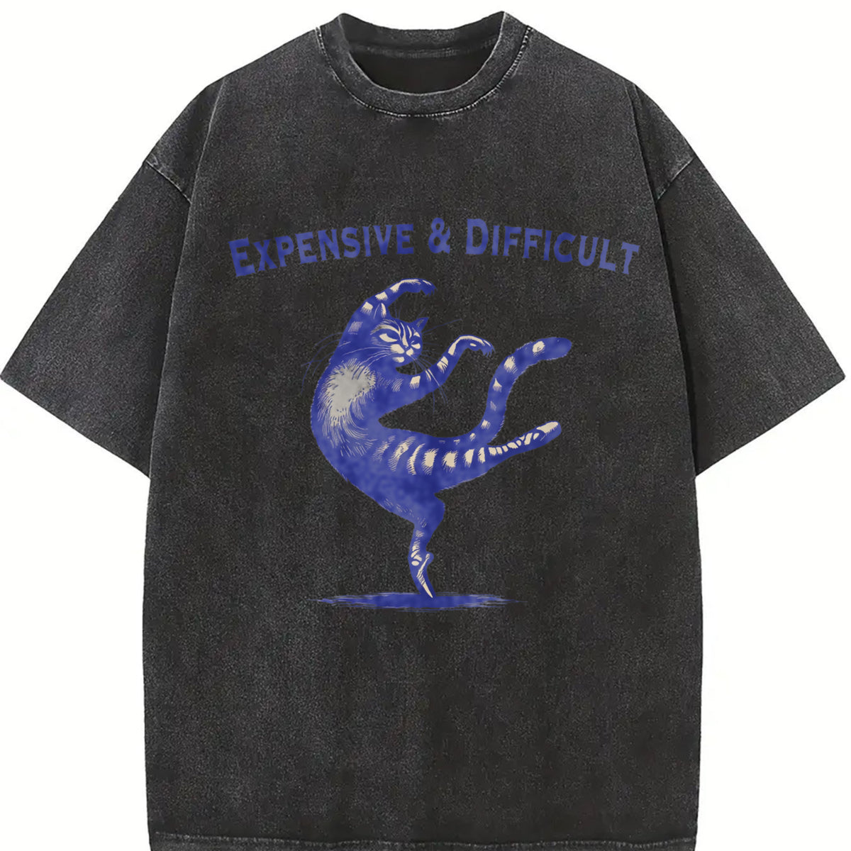 Retro Expensive and Difficult Dancing Cat 90s Vintage Washed T-Shirt in Black