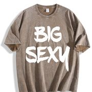 Big Sexy Vintage Washed T-Shirt in Brown