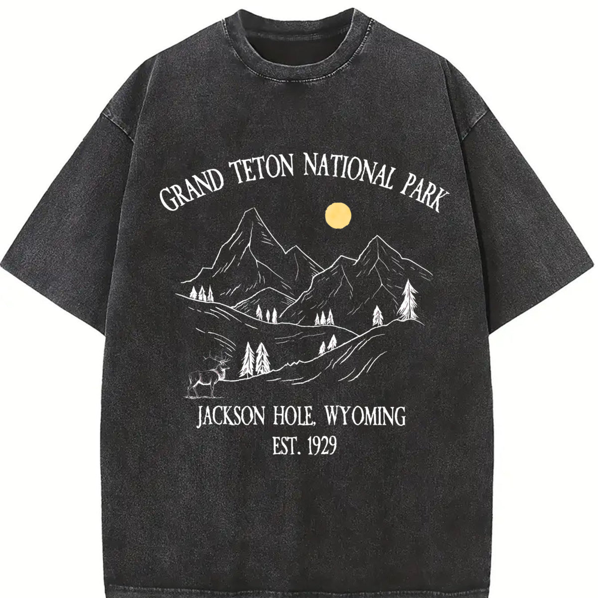Grand Tetons National Park Vintage Washed T-Shirt in Black