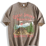 1pc Yanshan Vintage Washed T-Shirt in Brown