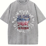 250 Years of Freedom Fireworks USA Vintage Washed T-Shirt in Gray