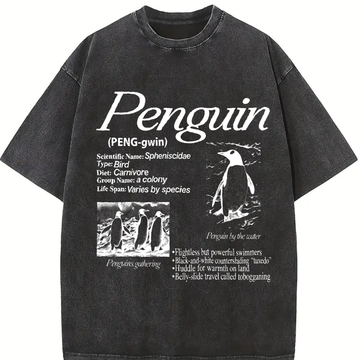 Penguin 90s Retro Arctic Bird Vintage Washed T-Shirt in Black