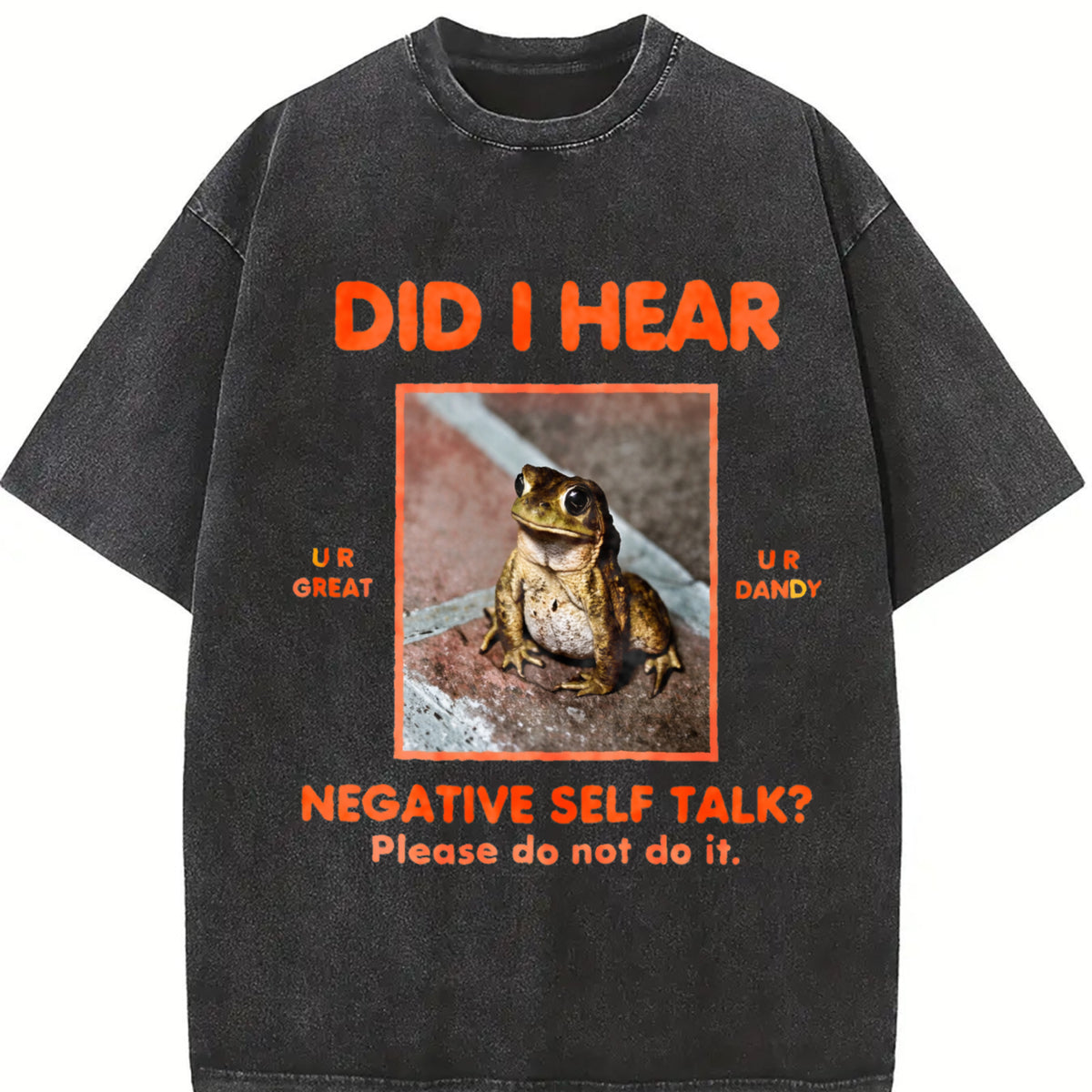 I Hear the Frogs Sing Vintage Washed T-Shirt in Black