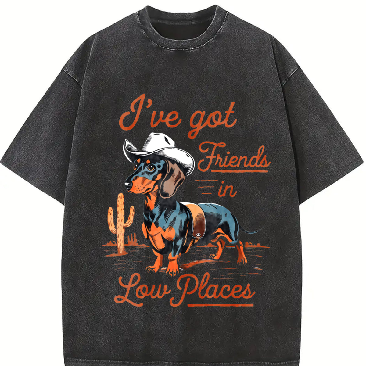 I've Got Friends In Low Places Dachshund Wiener Dog vintage washed oversized T-shirt in Black