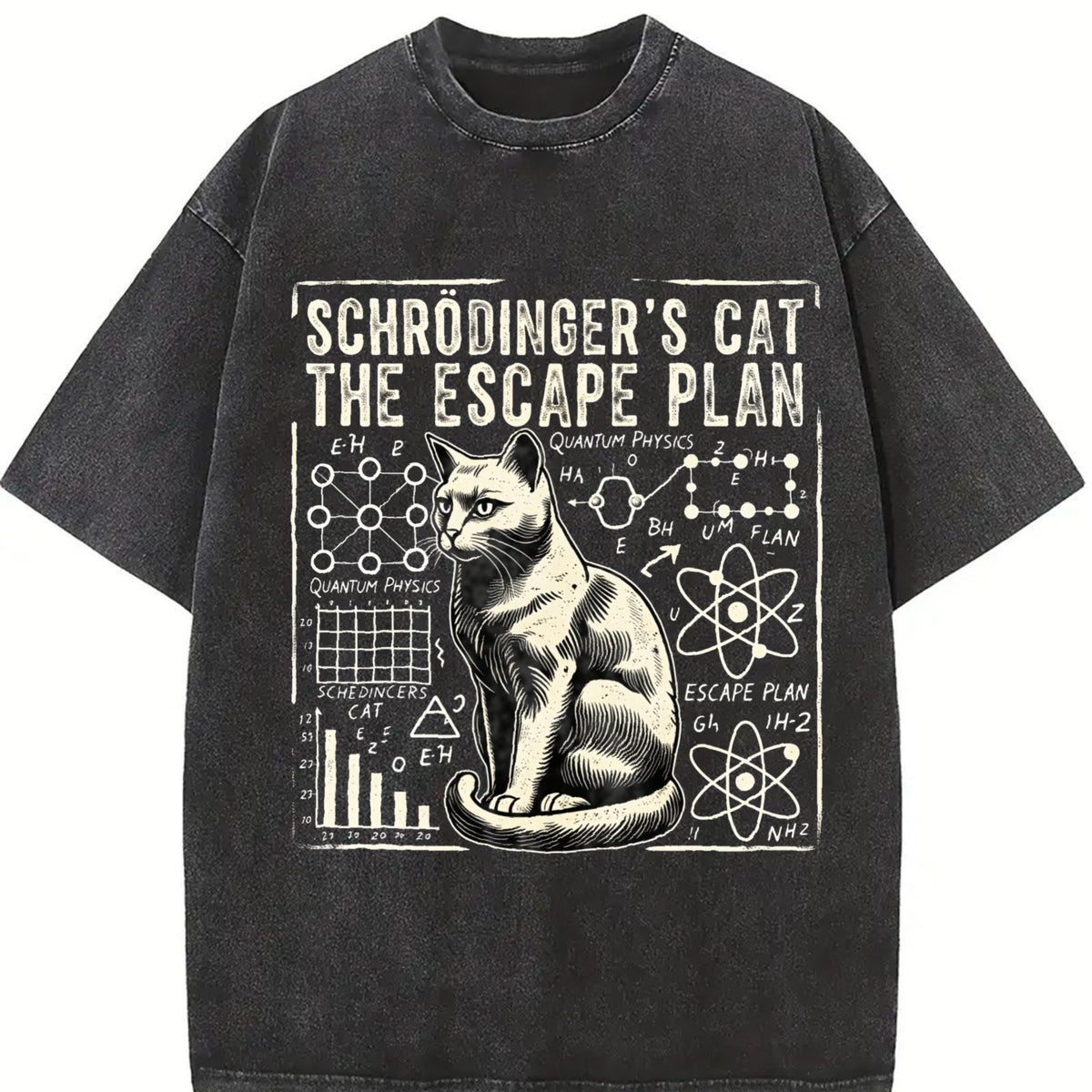 Schrodinger's Cat Escape Plan Vintage Washed T-Shirt in Black