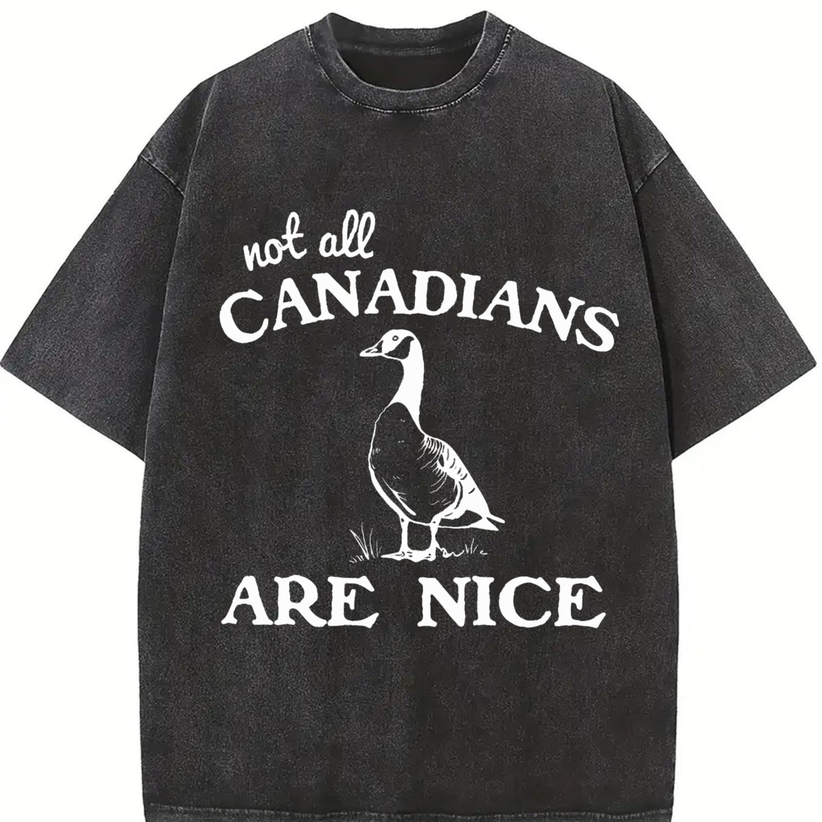 Canadian Goose for Spring Vintage Washed T-Shirt in Black