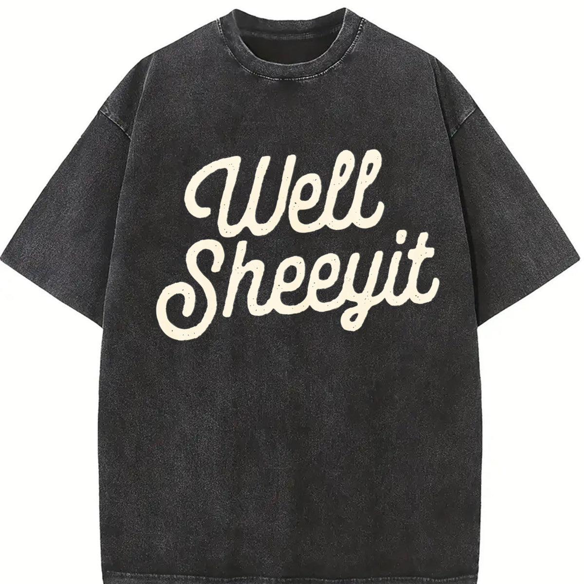 Well Sheeyit Vulgar Crude vintage washed oversized T-shirt in Black