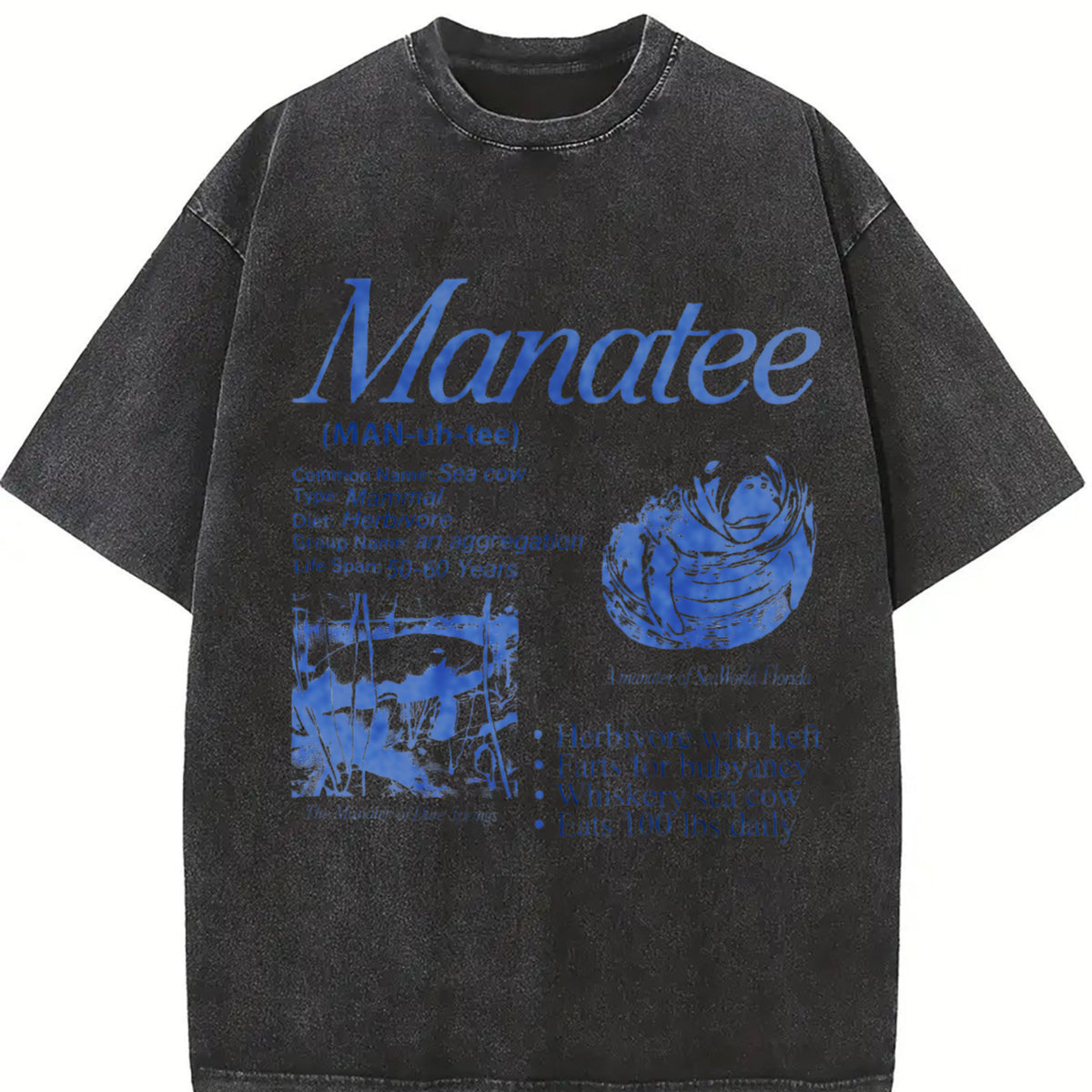 Manatee 90s Retro Sea Cow Facts Info Vintage Washed T-Shirt in Black