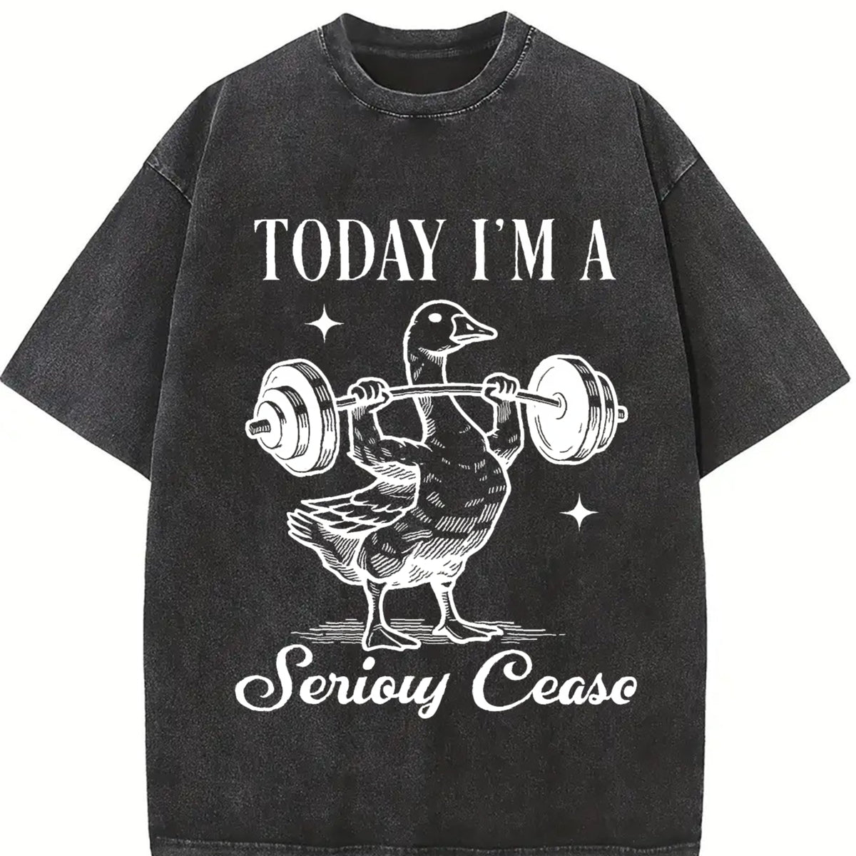Today I'm a Serious Goose Vintage Washed T-Shirt in Black